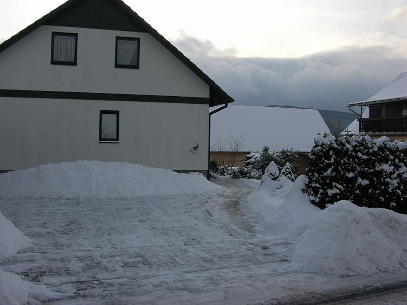 DSCN8978.JPG - Januar 2010